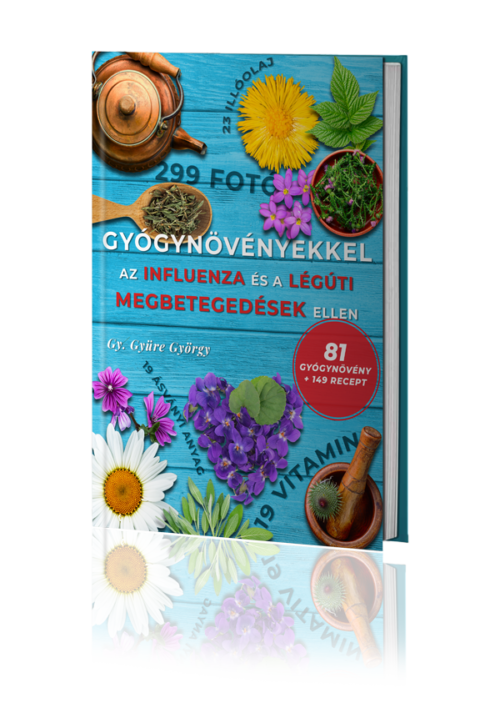 Gyógynövényekkel az influenza ellen